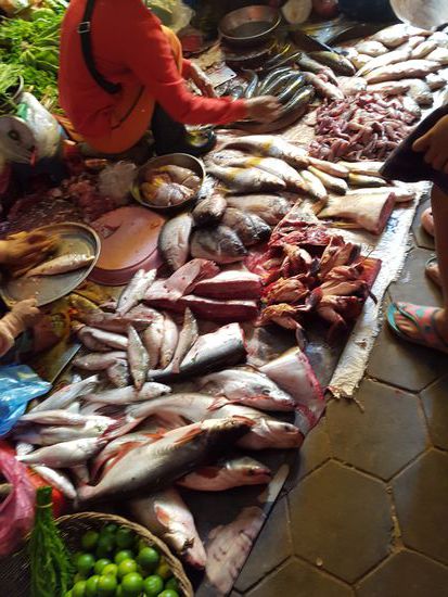 Fisch- und Froschverkauf am Old Market