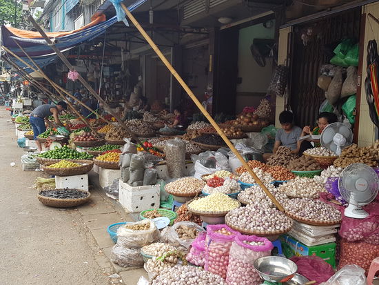 Vorne rechts fast nur Knoblauch