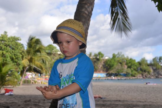 Jannik sammelt Sternchen