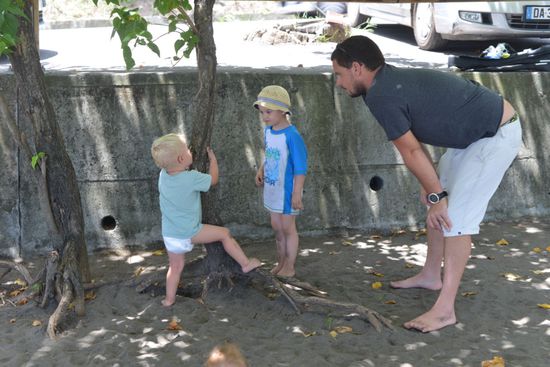 Die Jungs beschließen den Baum zu "schlachten"