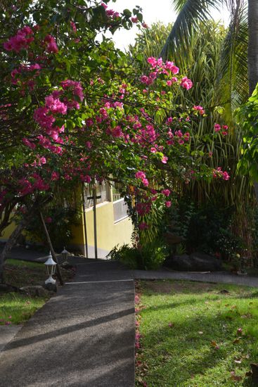 Das Gelbe da unten sind die Gästezimmer