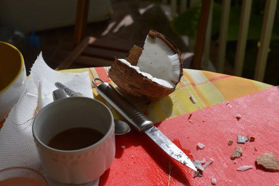 Eine letzte Kokosnuss