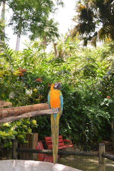 Roger spricht mit den Besuchern