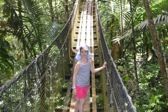 Antonia und Papa in den Baumwipfeln, Mami bleibt freiwillig bei den kleinen beiden... Hängebrücken und so...
