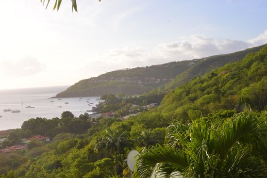 Es regnet und die Sonne scheint - das Grün glänzt