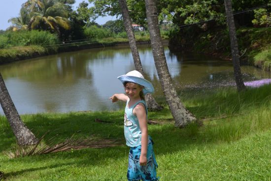 Antonia hat einen Gecko entdeckt