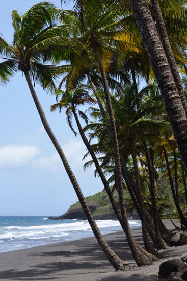 Lustigerweise ist genau das Bild in unserem Reiseführer
