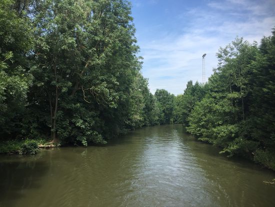 ... mal lauschige Waldallee