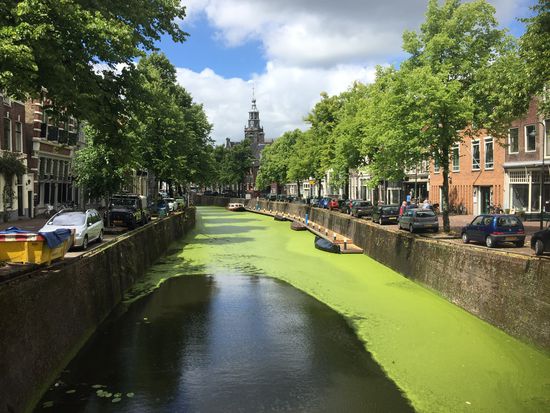 ...und Grachtenansichten