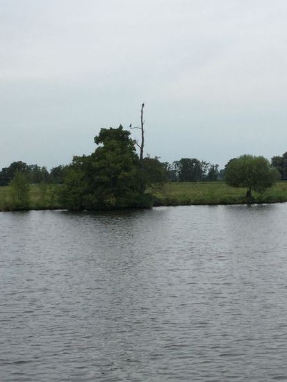 Die Geier warten schon....