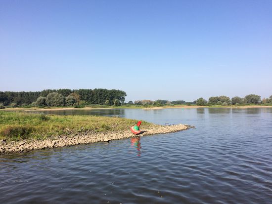 Gleich hinter der Schleuse Havelberg kommt die Elbe von links