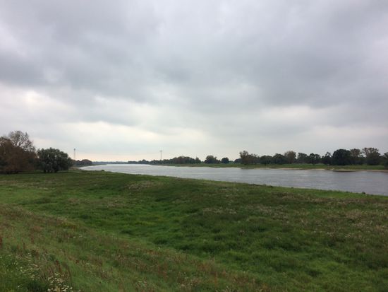 Die Elbe, diesmal vom Damm aus