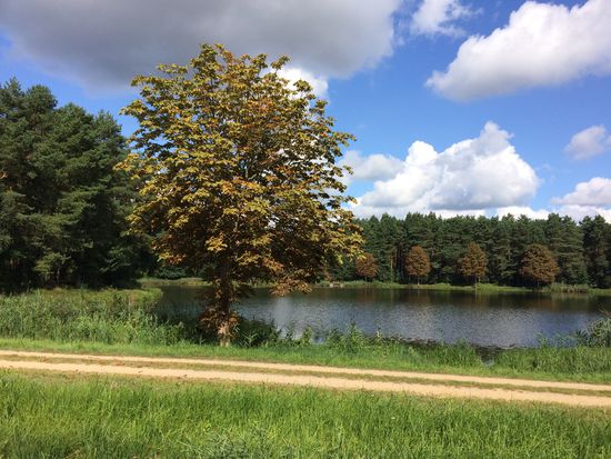 Ein See neben dem Kanal