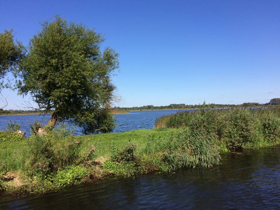 Karpfenteiche neben dem Kanal