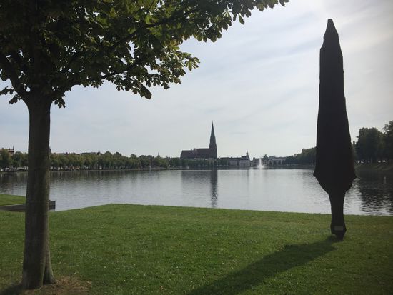 Und wieder zurück am Pfaffenteich