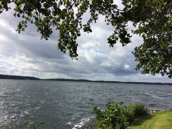 Immer noch viel Wind...