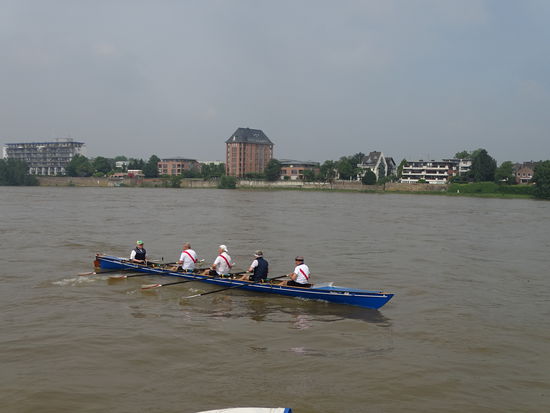 Ruderer mitten auf dem Rhein, sind fast gleich schnell wie wir