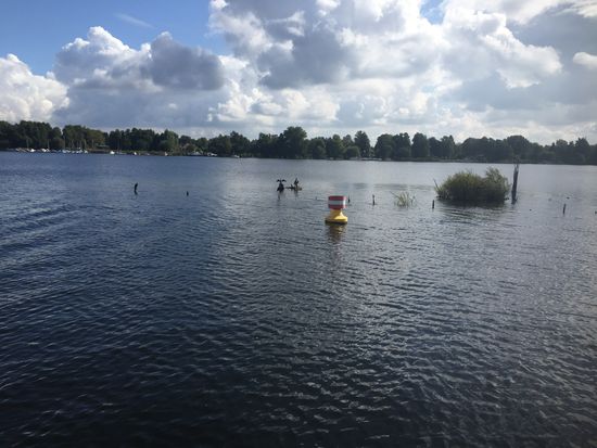 Kurz vor dem Tegeler See, quasi zu hause