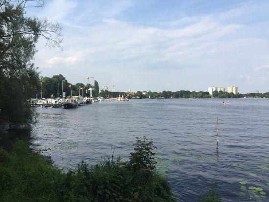 Blick auf den Hafen und die schattenspendenden, hohen Bäume links ...