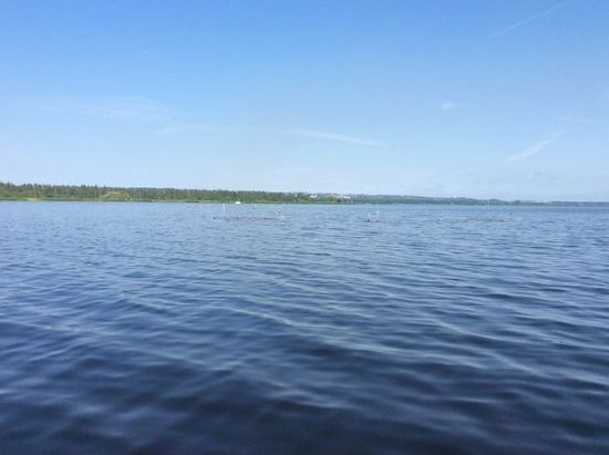 Damscher See - grosse Seen kann man nicht gescheit fotographieren