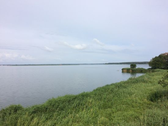 Blick über einen Haffarm