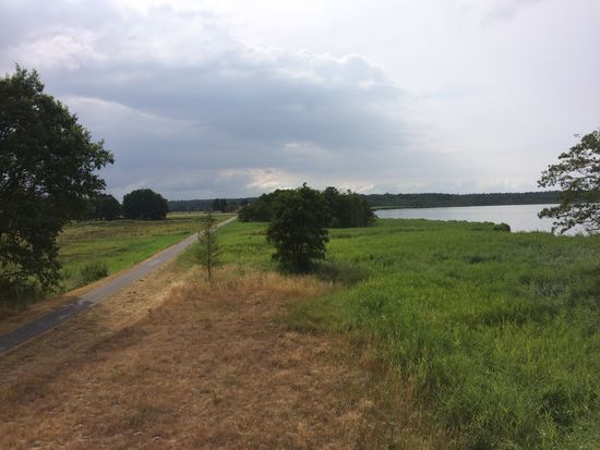 Von demselben Ausichtsturm: unser Weg am Haff entlang