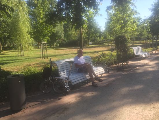 Lesen im Schatten großer Bäume an der Ueckermündung