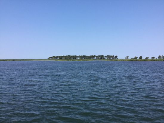 Da stehen die schiefen Bäume zwischen uns und der Ostsee