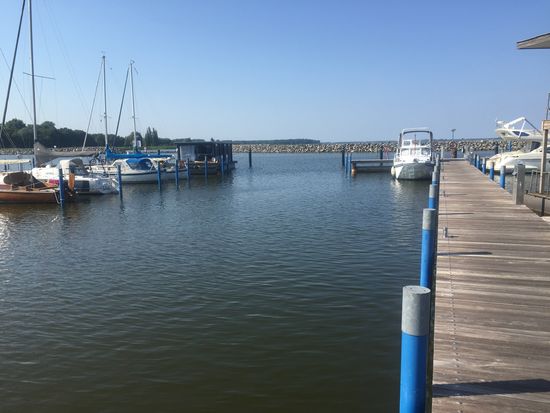 Da durfte ich nicht liegenbleiben, weil die dann so schwierig aus der Box kommen - hahaha