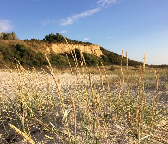 Steilküste bei Ahrenshoop