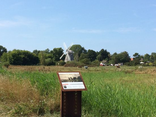 Windmühle am Ortsausgang von Ahrenshoop