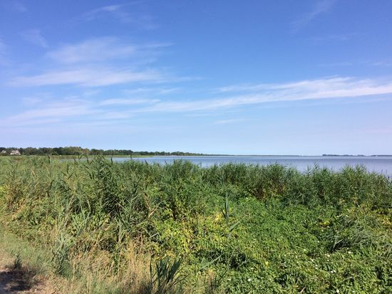 Dazwischen Ausblicke auf den Bodden