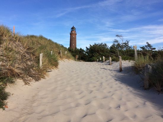 Der Weg zurück zwischen Düne und Windflüchtern: windschiefe, sturmzerzauste Bäume, die diesen ständigen Angriff nicht immer überstehen.