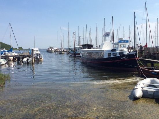 Das Fischbrötchenschiff „Willi“ im Hafen von Kloster