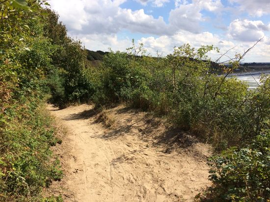 Der schöne Wanderweg mit vielen Ausblicken aufs Meer