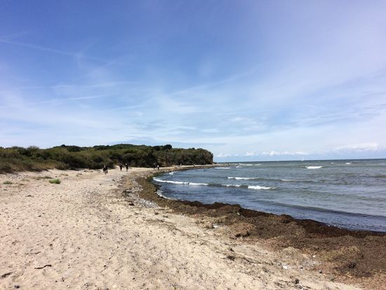 Schön einsam hier, stinkt nur ein bisschen von dem Seetang am Strand