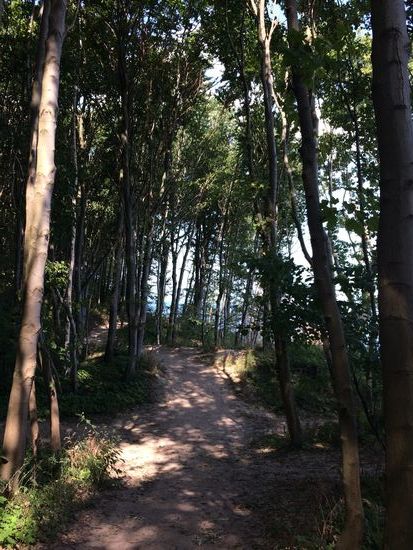 Toller Waldweg auf dem Hochufer