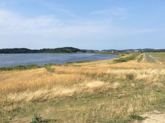 In der Mitte hinten unser Hafen