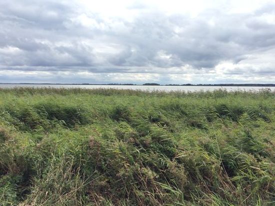 Landschaft am Achterwasser