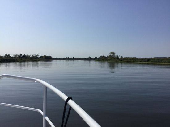 So sieht sie aus, die Oder südlich von Stettin