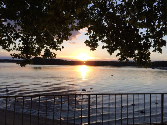 Sonnenuntergang am Tegeler See