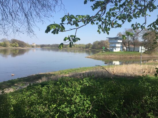 Die Elbe bei Dessau bei dem Kornhaus (Ausflugslokal vom Bauhaus gebaut)