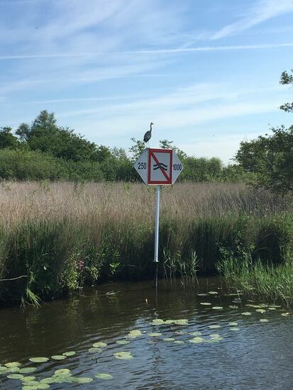 Die Geier warten schon auf unvorsichtige Skipper
