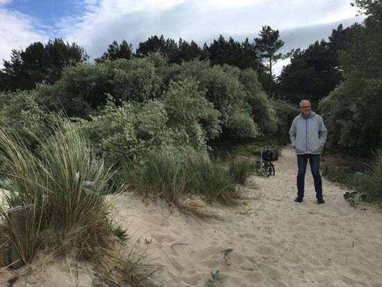 Steife Briese an der See...