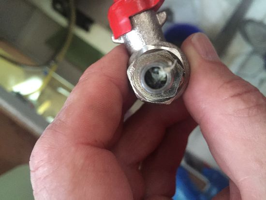 Da guckt was aus Plastik raus