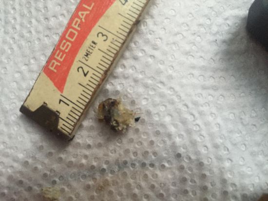 Und das ist es auch: ein Knäuel aus Kunstofffäden vom Bohren der Flanschlöcher im Kunststofftank - hab wohl den Tank zu oft fast leer gefahren