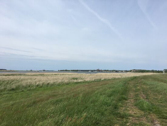 In der Mitte der schmale Streifen ist der Peenestrom