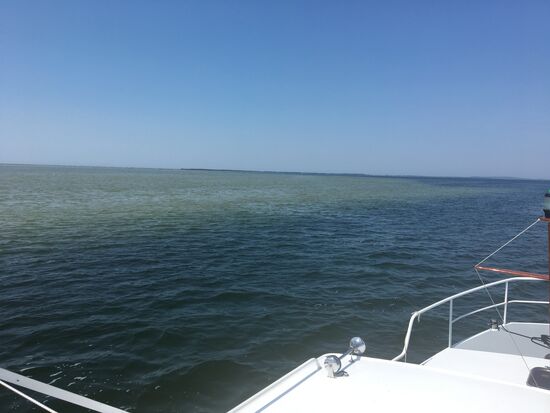 Da ist es wieder sehr flach