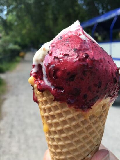Das obligatorische Eis