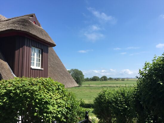 Ausblick in Kloster